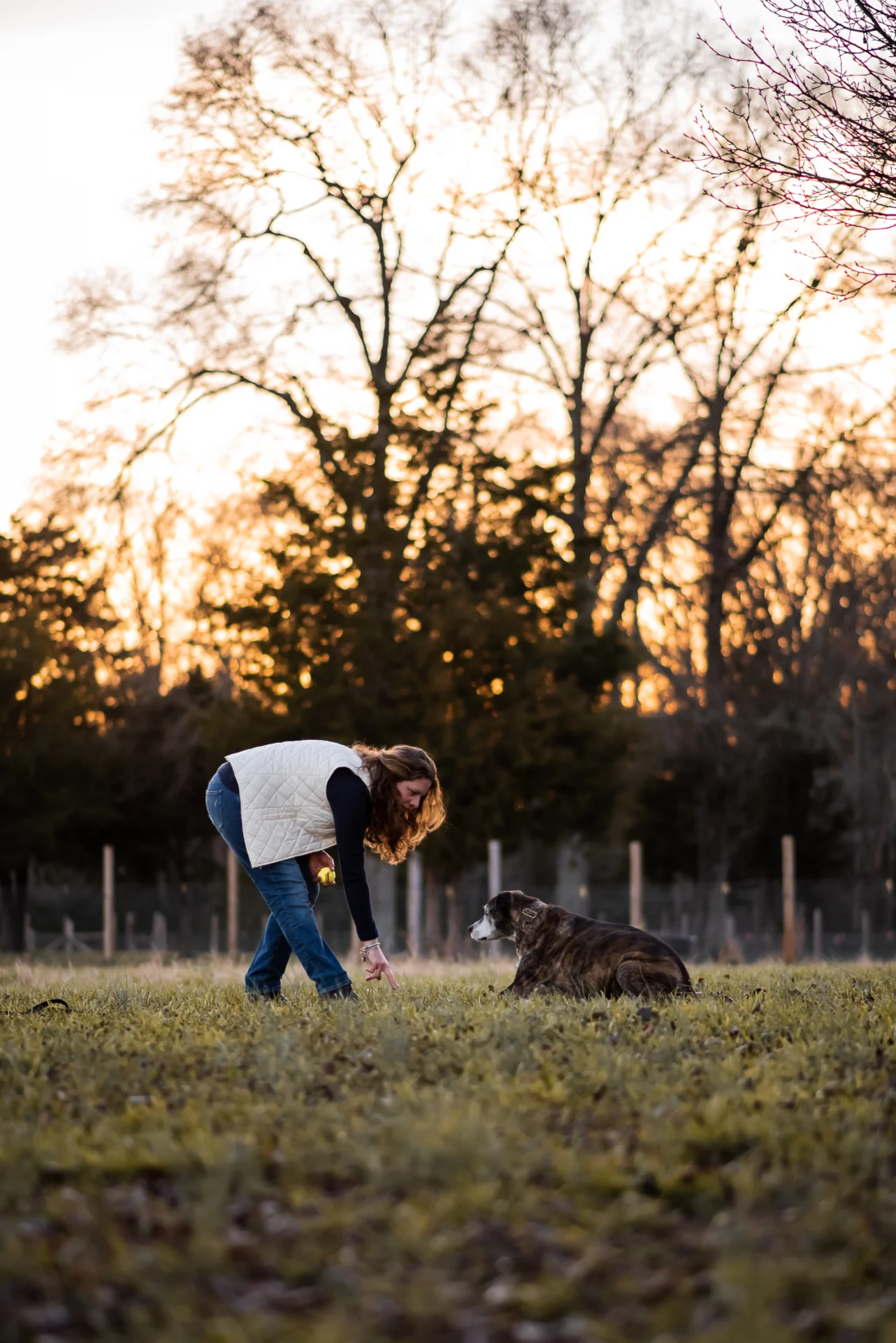 A woman is walking her dog in the grass.