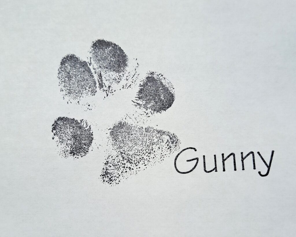 Gunny paw image on a white color sheet